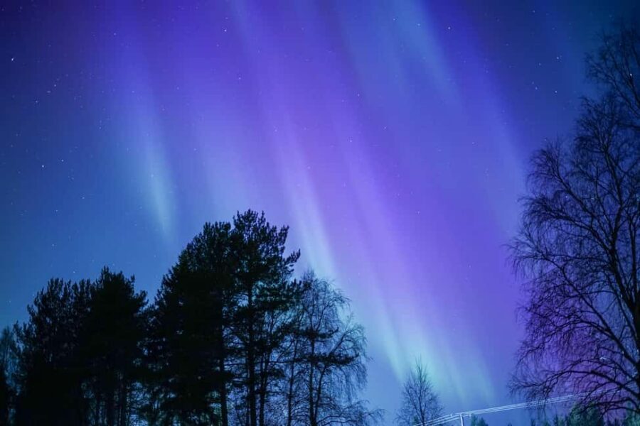 Rovaniemi: Aurora hunting and a fireside BBQ experience - Should you book this Rovaniemi aurora and fireside BBQ tour?
