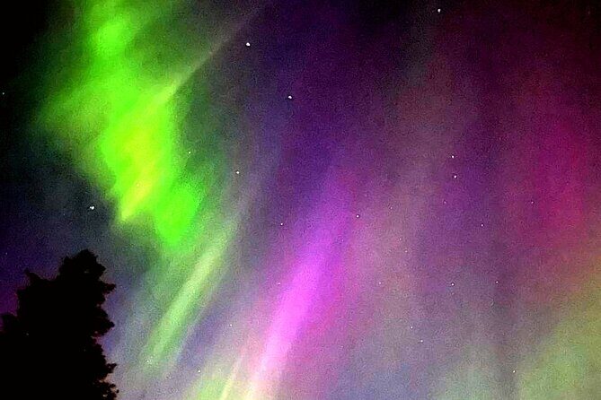 Rovaniemi: Aurora Hunting & Photography Tour - Key things I’d bookmark before you go
