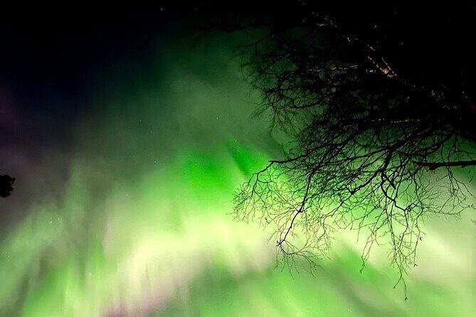 Rovaniemi: Aurora Hunting & Photography Tour - Rovaniemi at 7:00 pm: what this night is really built around