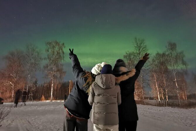 Rovaniemi: Aurora Hunting & Photography Tour - If the sky doesn’t cooperate: how to still have a good night