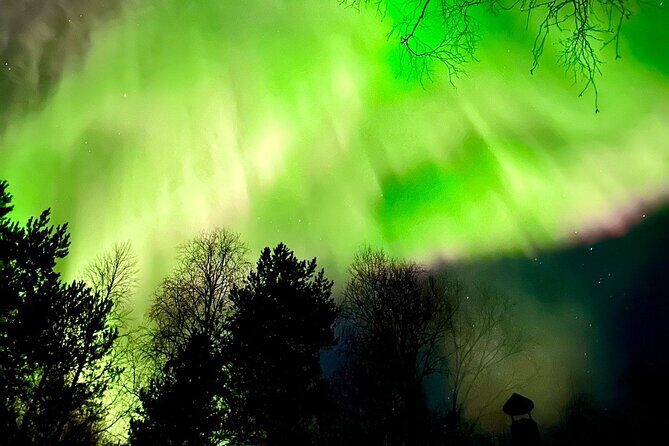 Rovaniemi: Aurora Hunting & Photography Tour - Price and value: what $200.01 covers (and why it adds up)