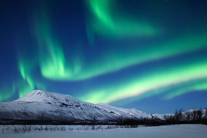 Rovaniemi Aurora Hunting Tour - The night’s flow: how the stops work in real life