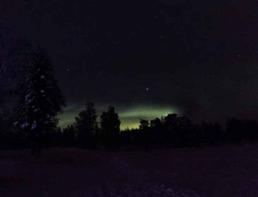 Rovaniemi: Aurora Hunting Tour in the Forest with Hot Drinks - Why a 3-Hour Aurora Hunt in Rovaniemi Works
