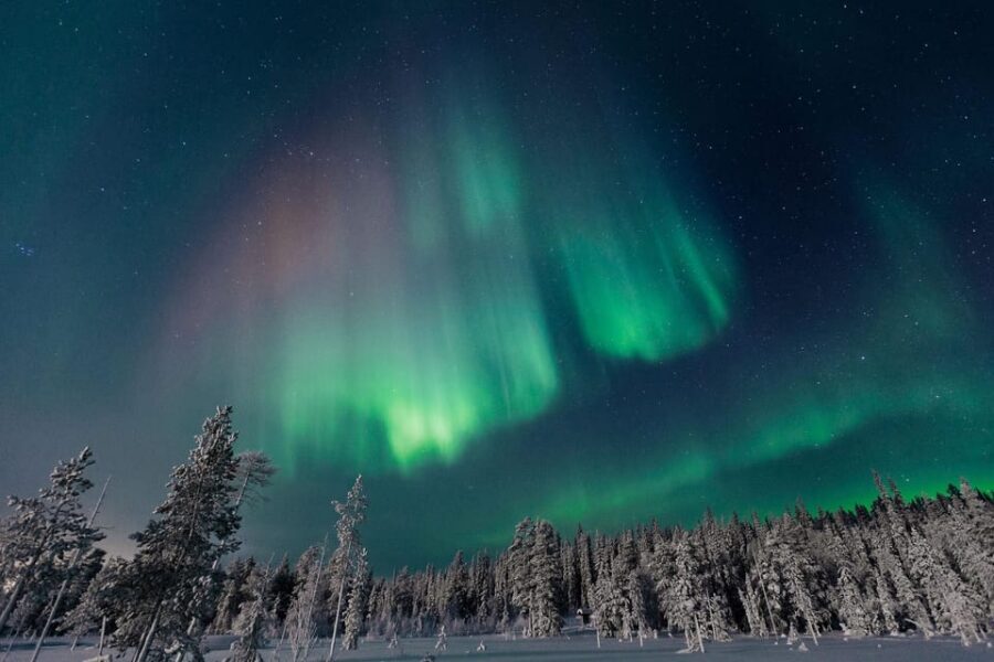 Rovaniemi: Aurora Hunting Tour in the Forest with Hot Drinks - What the Thermal Overalls and Boots Actually Do for You