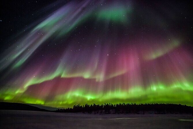 Rovaniemi Aurora Hunting Tour - Pickup and departure times: when you’ll leave Rovaniemi for the best chance