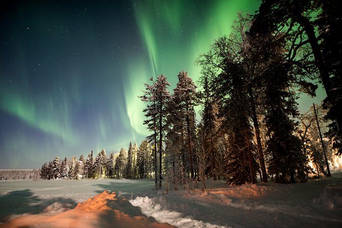 Rovaniemi AURORA PASS: 3-5 Days Unlimited Northern Lights chasing Pass - Key reasons this Rovaniemi Aurora Pass is worth your time