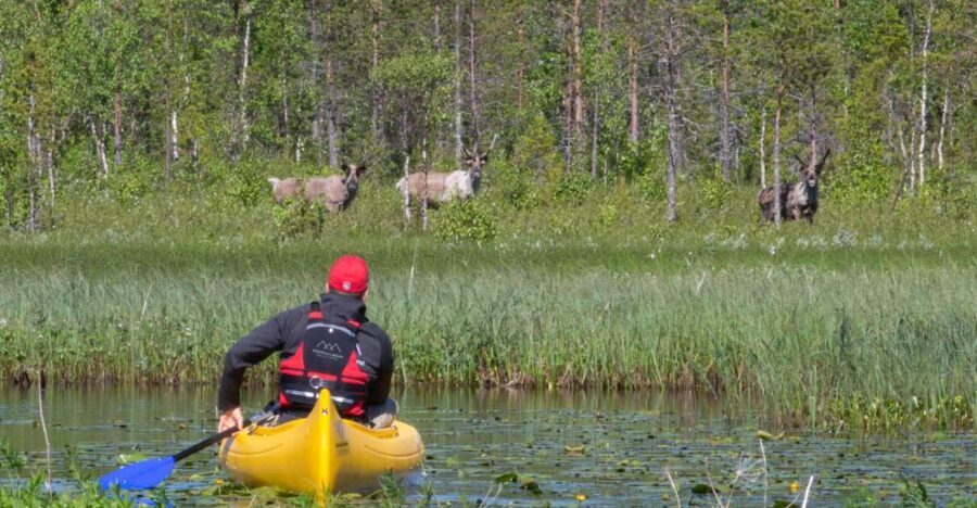 Rovaniemi: Authentic Reindeer Farm & Canoeing - Key takeaways before you go