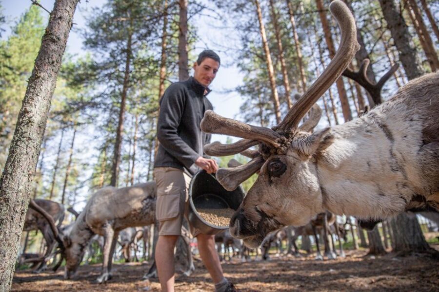 Rovaniemi: Authentic Reindeer Farm & Canoeing - Who This Tour Suits Best (and Who Should Skip It)
