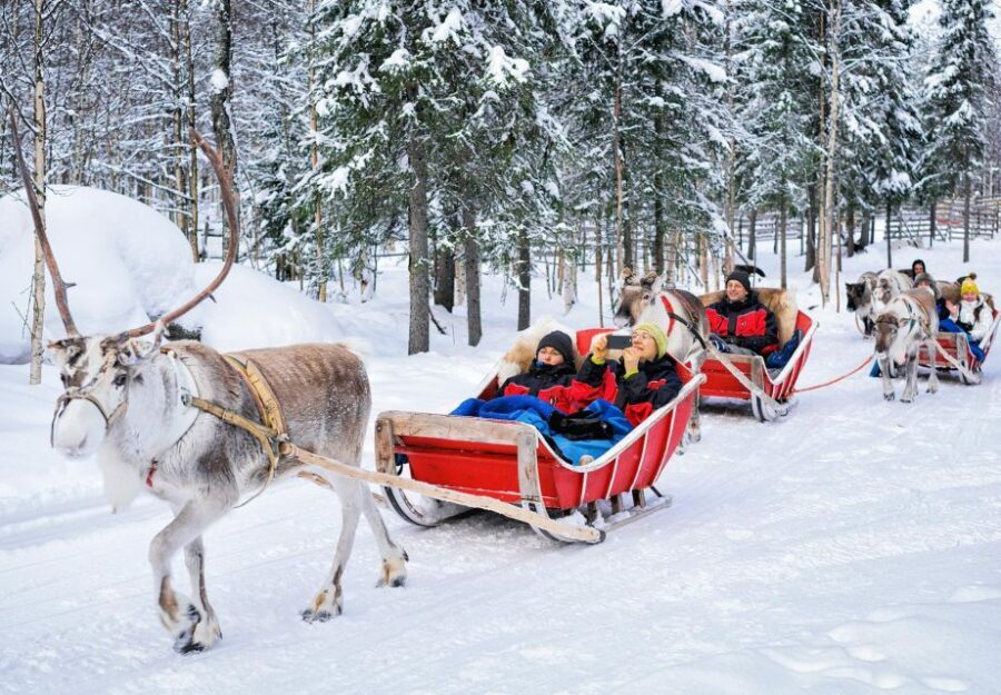 Rovaniemi: Authentic Reindeer Farm Visit & Short Sleigh Ride - The snow decides the sleigh ride length