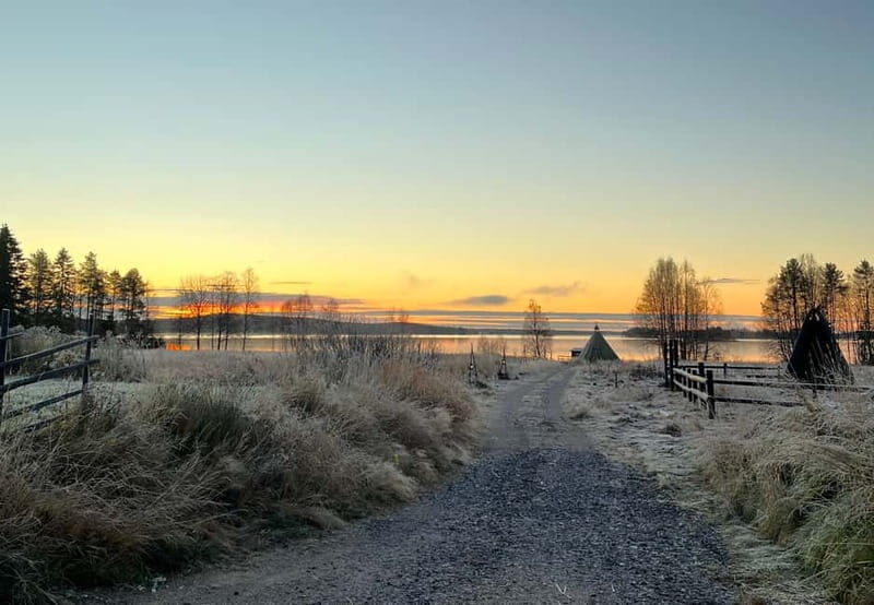 Rovaniemi: Autumn Husky Ride on Wheels - Why a wheeled husky cart ride feels different in fall Lapland