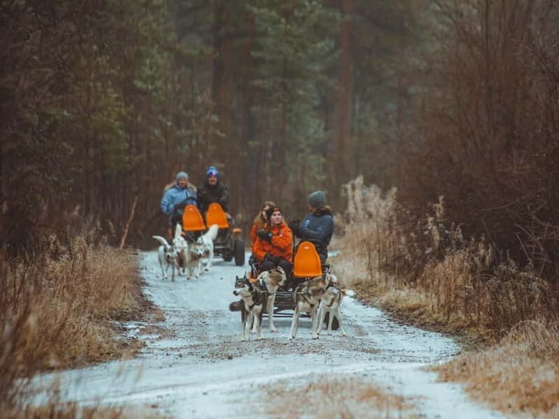 Rovaniemi: Autumn Husky Ride on Wheels - Price and value: what $169 buys you in a 2-hour experience