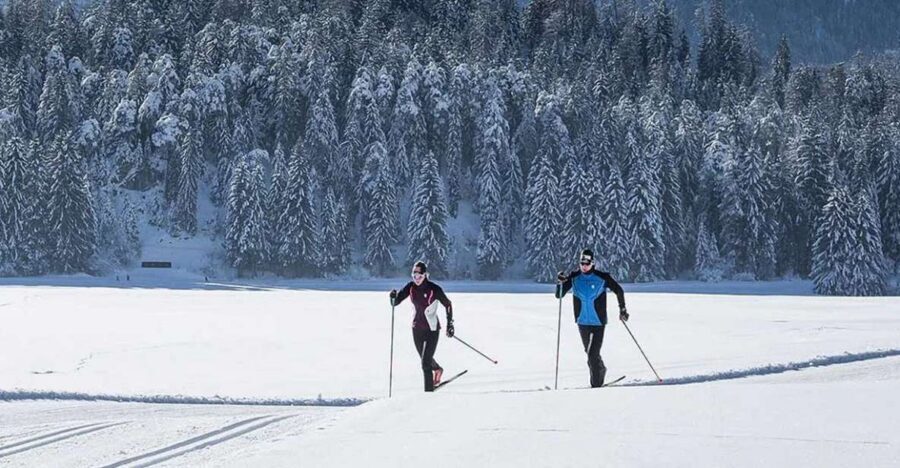 Rovaniemi: Cross Country Wilderness Ski Adventure - Ounasvaara’s winter forest: where cross-country feels natural