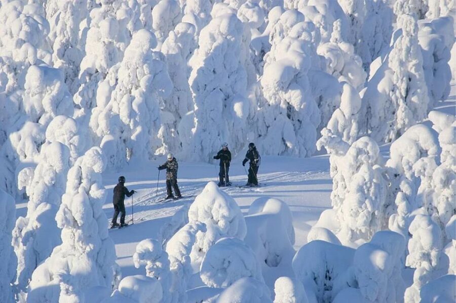Rovaniemi: Cross Country Wilderness Ski Adventure - Minivan to the reserve: saving your energy for skiing