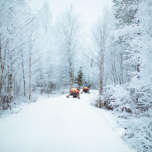 Rovaniemi: Early Winter 2 Hour Snowmobile Safari - Key highlights to know before you go