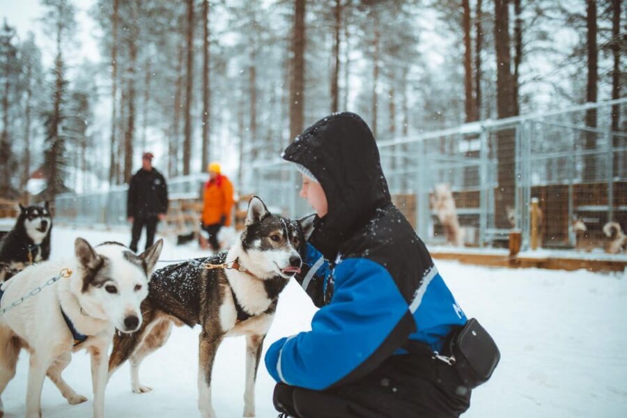 Rovaniemi: Early Winter Husky Sled Ride - What happens before you ride: clothing, briefing, and meeting the teams