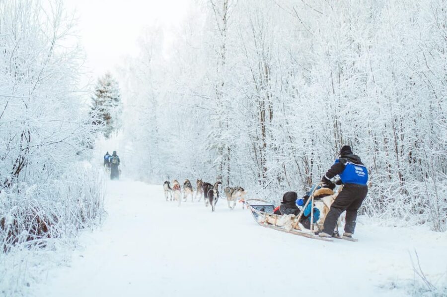 Rovaniemi: Early Winter Husky Sled Ride - Weather-proofing: how included gear and a hot drink change the outing