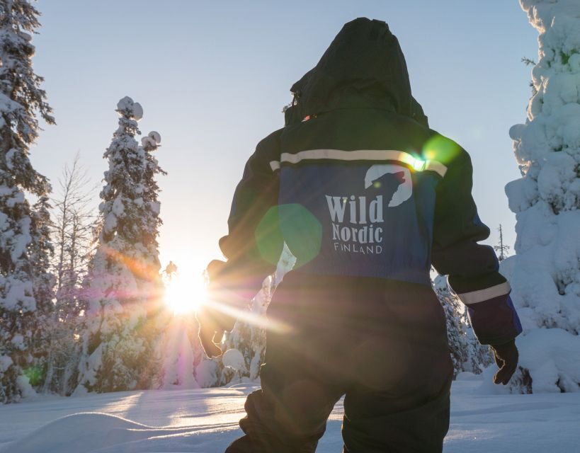 Rovaniemi: Easy Snowmobile Safari - Photo stops and forest views: how to get the best shots without slowing everyone down