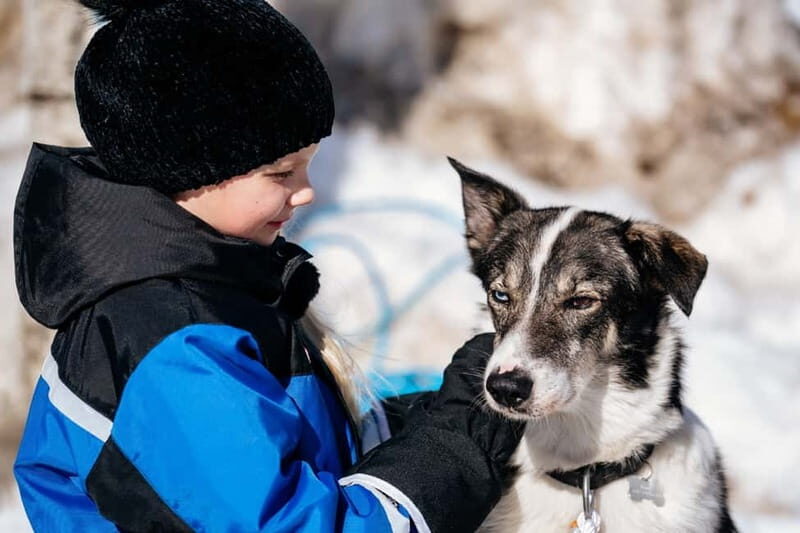 Rovaniemi: Full-Day Snow and Fun Activities - The husky safari: short ride, big animal payoff