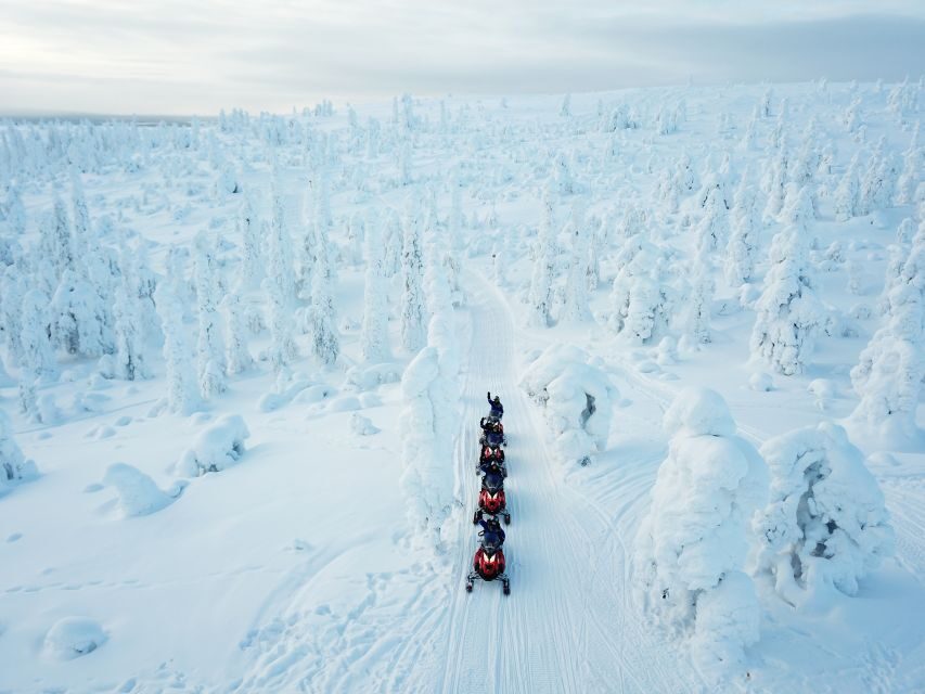 Rovaniemi: Full-Day Snowmobile Safari into the Wilderness - Six Hours Total, With Real Time in the Wilderness