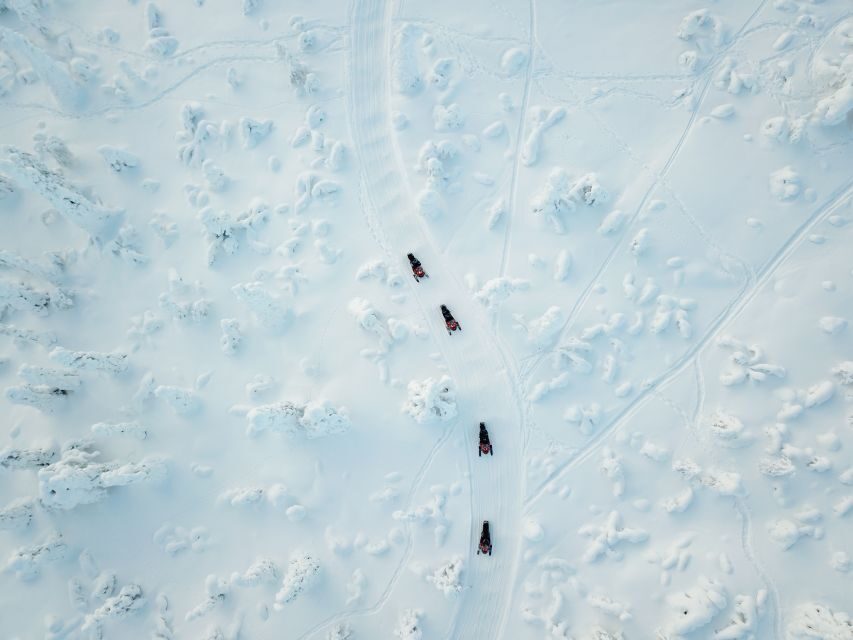 Rovaniemi: Full-Day Snowmobile Safari into the Wilderness - Winter Gear + Instruction: How You Actually Learn to Ride