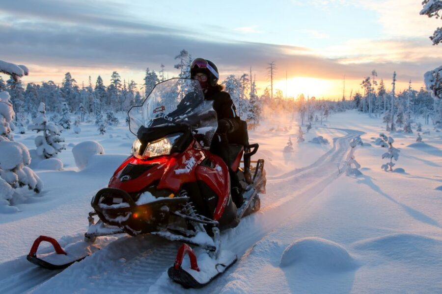 Rovaniemi: Full-Day Snowmobile Safari into the Wilderness - Lunch by Fire: More Than a Break From the Cold