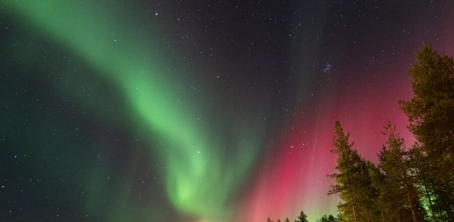 Rovaniemi: Guaranteed Aurora Hunting Tour with Local Guide - What to Bring (and What Will Get You Turned Around)