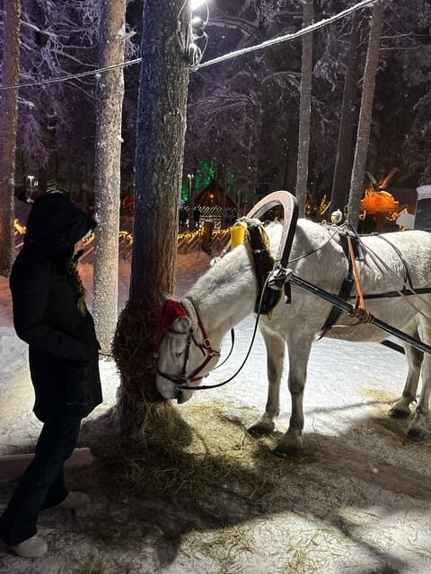 Rovaniemi: Guided Tour of Santa Claus Village - The real value: time saved inside Santa Claus Village