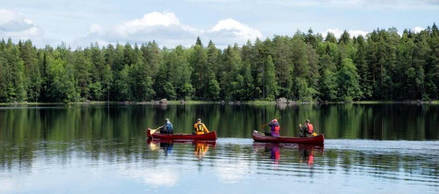Rovaniemi: Guided Wilderness Kayaking Adventure - Lapland Lake Views in Summer Twilight