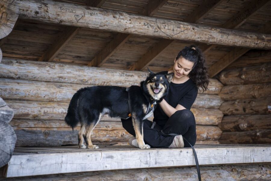 Rovaniemi: Hiking Experience with Lappish Dogs - Rovaniemi summer hike with dog companions