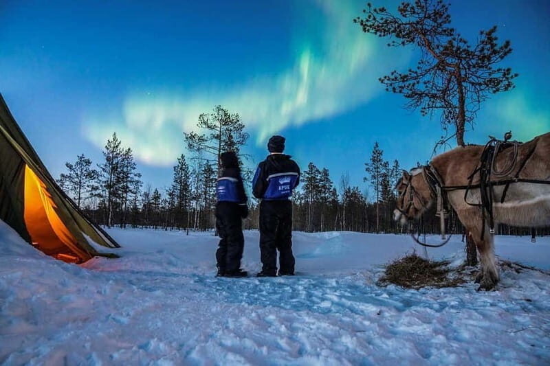 Rovaniemi: Horse Sleigh Ride under the Night Sky - Why This Sleigh Ride Works Better Than a Typical Night Out