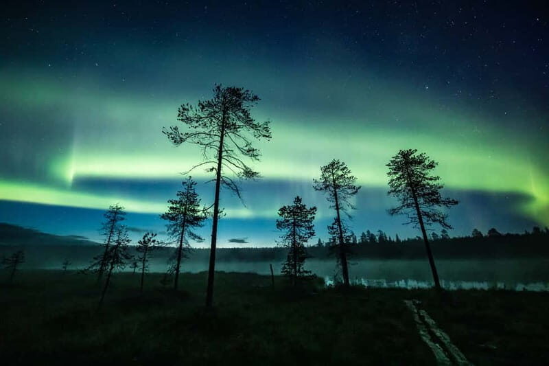 Rovaniemi: Horse Sleigh Ride under the Night Sky - Pickup Points and Timing: Two Doors Into the Same Night