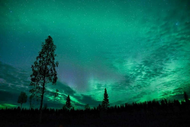 Rovaniemi: Horse Sleigh Ride under the Night Sky - Price and What $185 Buys You in Real Terms