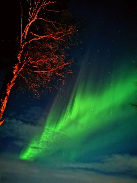 Rovaniemi Hunting Aurora at the Best Spots - The 3.5-hour timing window: what your evening will actually feel like