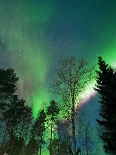 Rovaniemi Hunting Aurora at the Best Spots - Two aurora spots in northern Rovaniemi: how the stops improve your odds