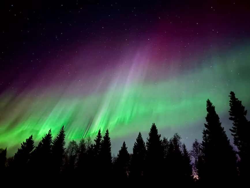 Rovaniemi Hunting Aurora at the Best Spots - What your guide does besides driving: aurora explanations and phone photo setup