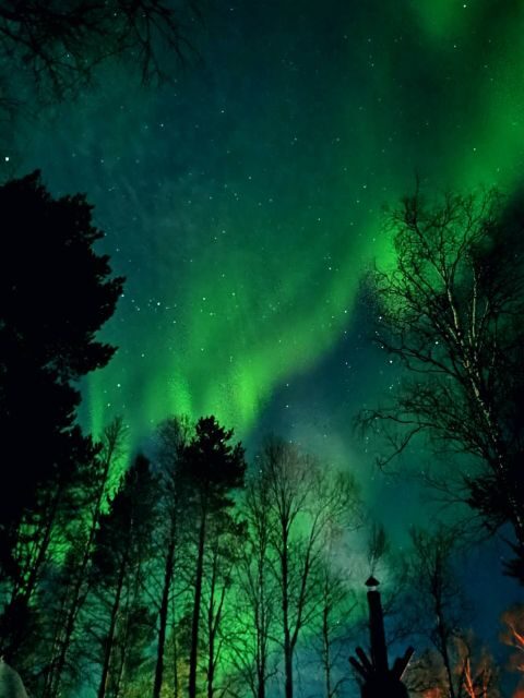 Rovaniemi Hunting Aurora at the Best Spots - Transportation and group size: why up to 8 feels like the right number