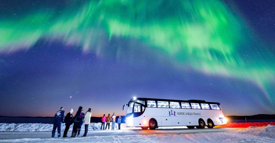 Rovaniemi: Hunting Northern Lights Bus Tour - Key takeaways before you go