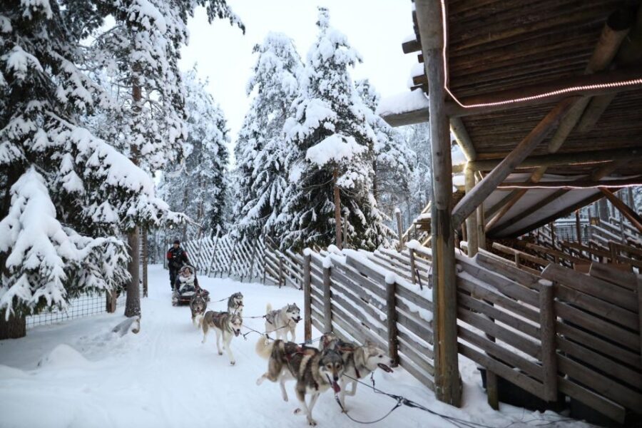 Rovaniemi: Husky and reindeer farm visit with sleigh rides - Entering Lapland Comfortably: Hotel Pickup and Timing