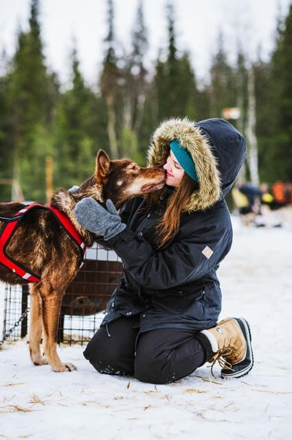 Rovaniemi: Husky and Reindeer farm with sleigh ride - Price and value: what $259 gets you