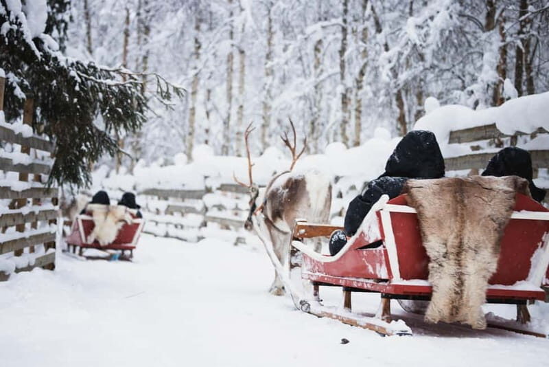 Rovaniemi: Husky Farm and Reindeer Experience - Reindeer Manor: Herding Stories and Your Reindeer Sledge Ride