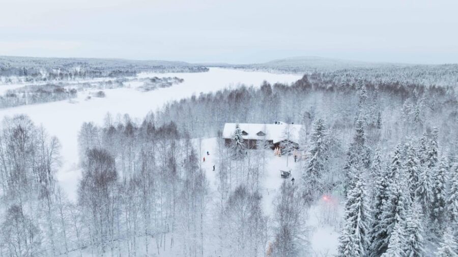 Rovaniemi: Husky Farm Visit with a Sledge Ride - Who This Husky Visit Suits Best in Lapland