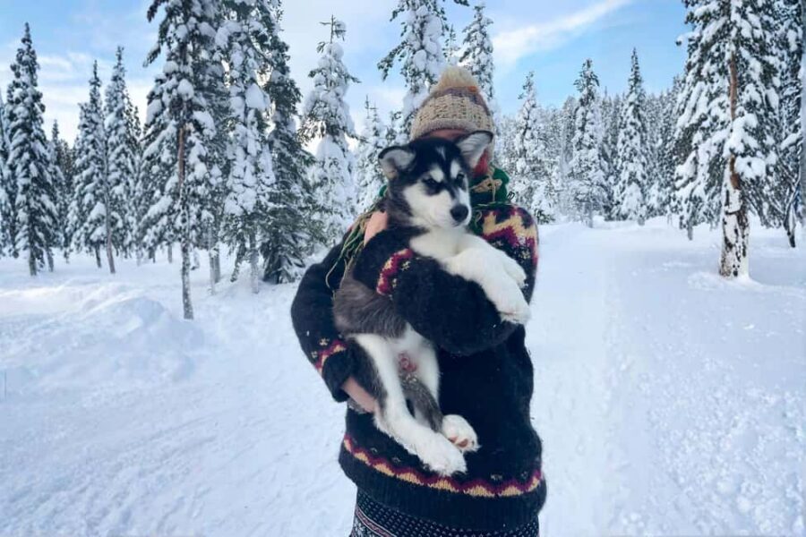Rovaniemi: Husky Safari & Campfire BBQ – 6‑10 km Self‑Drive - Clothing and comfort: the small stuff that decides whether you enjoy it