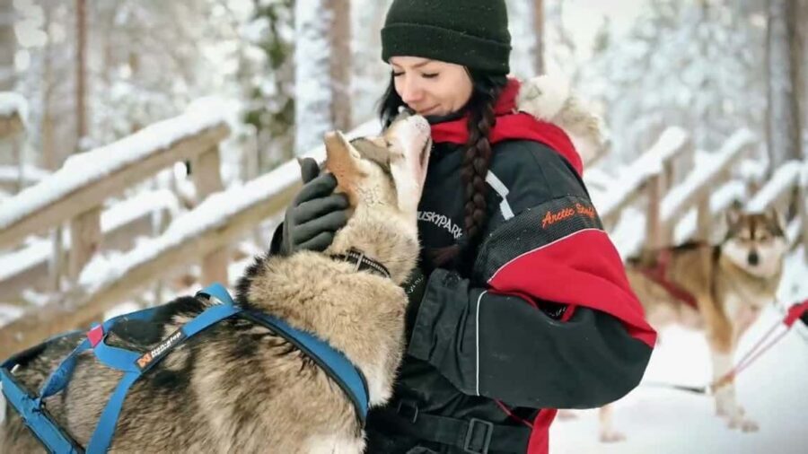 Rovaniemi: Husky Sled Ride and Farm Visit - How to Get More From It (small choices that matter)