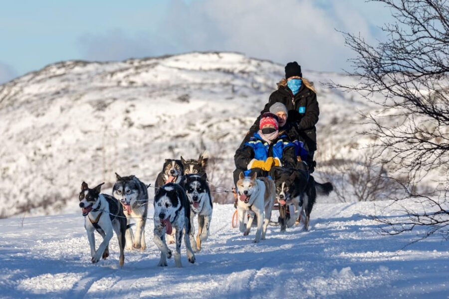 Rovaniemi: Husky Sled Ride and Farm Visit - Should You Book RBK Travel’s Rovaniemi Husky Experience?