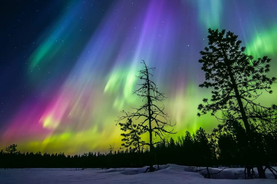 Rovaniemi: Ice Floating in Forest Lake with Aurora Borealis - On the lake: how the ice floating portion really works