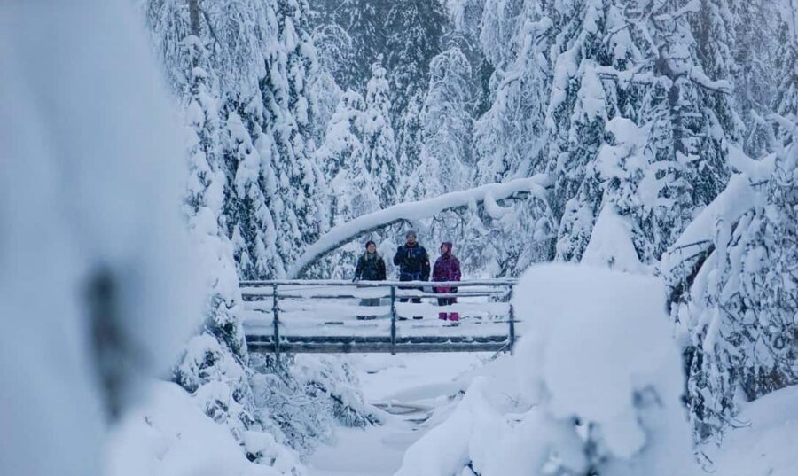 Rovaniemi: Korouoma Canyon and Frozen Waterfalls Tour - What to Bring: The Comfort Rules for Winter Canyon Walking