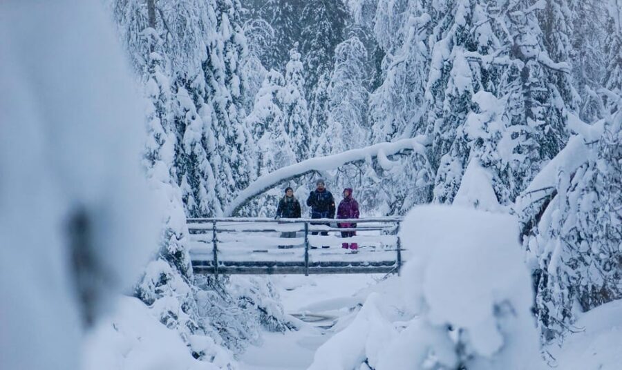 Rovaniemi: Korouoma Canyon Frozen Waterfalls Guided Hike - The guide experience: fun, practical, and focused