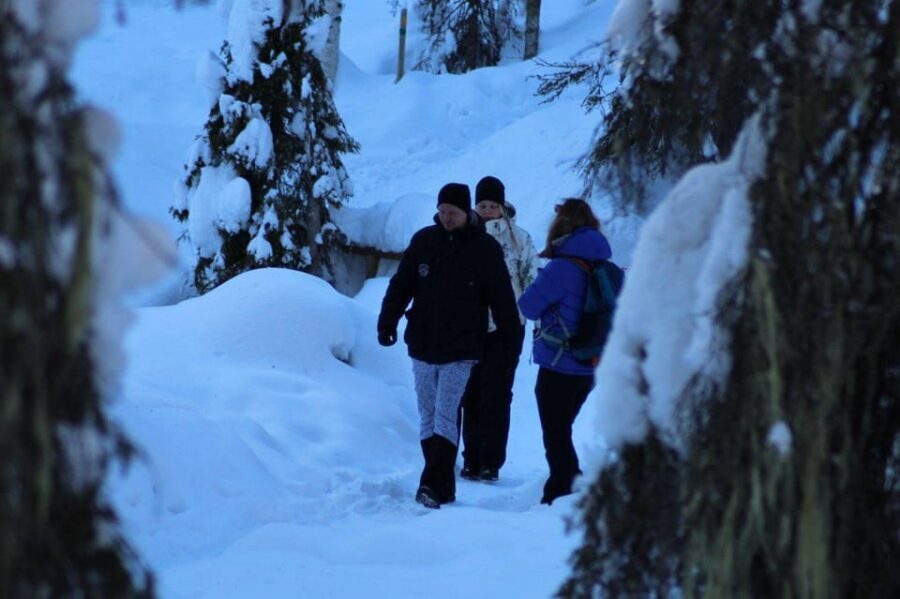 Rovaniemi: Korouoma Canyon Frozen Waterfalls Guided Hike - Who this tour is best for (and who should skip it)