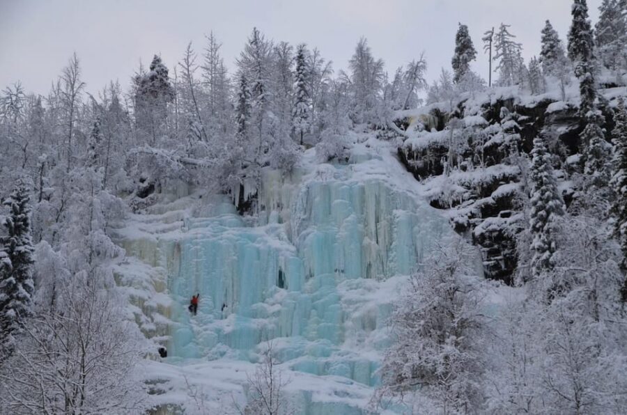 Rovaniemi: Korouoma Canyon Frozen Waterfalls Guided Hike - The “keep an eye out” wildlife part (and how to think about it)