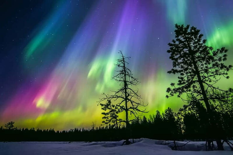 Rovaniemi: Lakeside Private Sauna with Aurora Borealis - Getting There: Pickup in Rovaniemi and the Forest-Complex Arrival